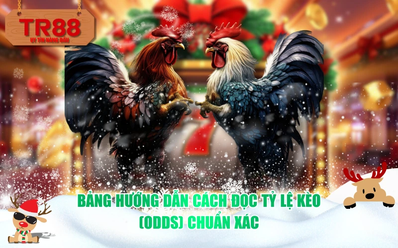 Bảng hướng dẫn cách đọc Tỷ lệ kèo (Odds) chuẩn xác