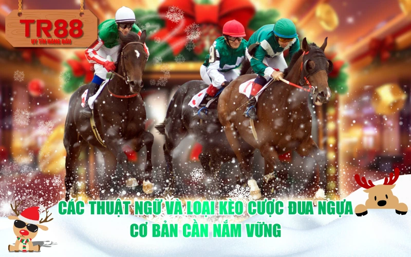 Các thuật ngữ và loại kèo cược đua ngựa cơ bản cần nắm vững
