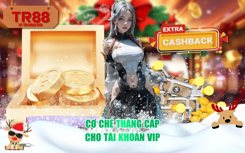Cơ chế thăng cấp cho tài khoản VIP