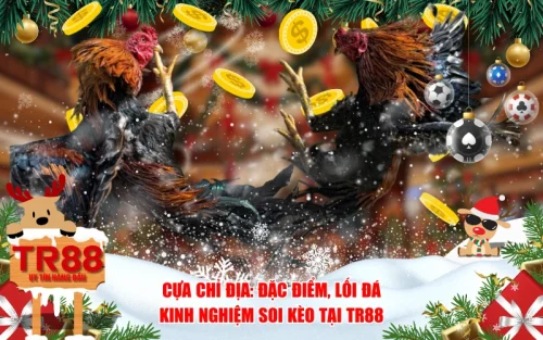 Cựa Chỉ Địa: Đặc Điểm, Lối Đá & Kinh Nghiệm Soi Kèo Tại TR88
