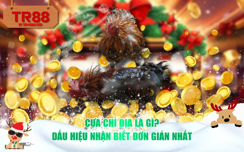 Cựa chỉ địa là gì? Dấu hiệu nhận biết đơn giản nhất