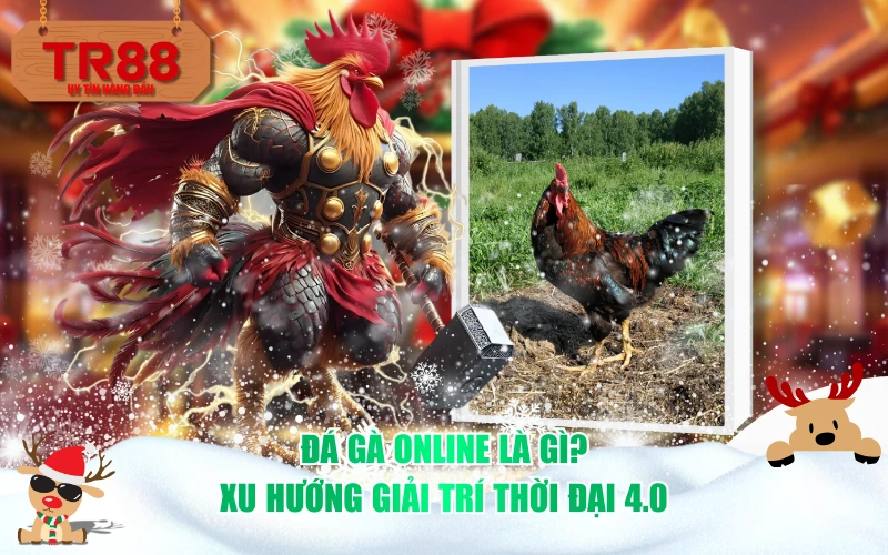 Đá gà online là gì? Xu hướng giải trí thời đại 4.0