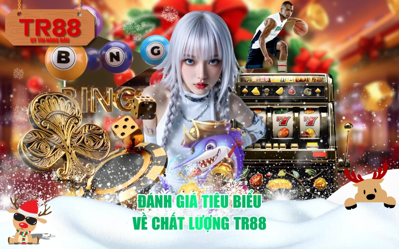 Đánh giá tiêu biểu về chất lượng TR88