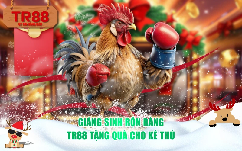 Giáng Sinh Rộn Ràng - TR88 Tặng Quà Cho Kê Thủ