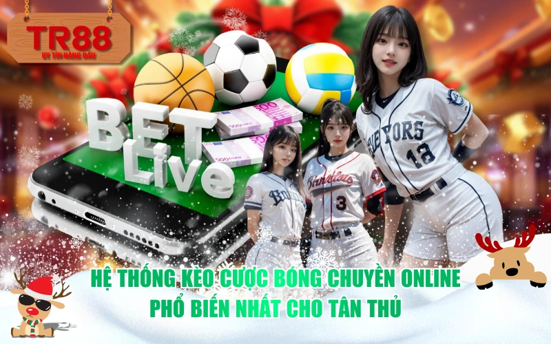 Hệ thống kèo cược bóng chuyền online phổ biến nhất cho tân thủ