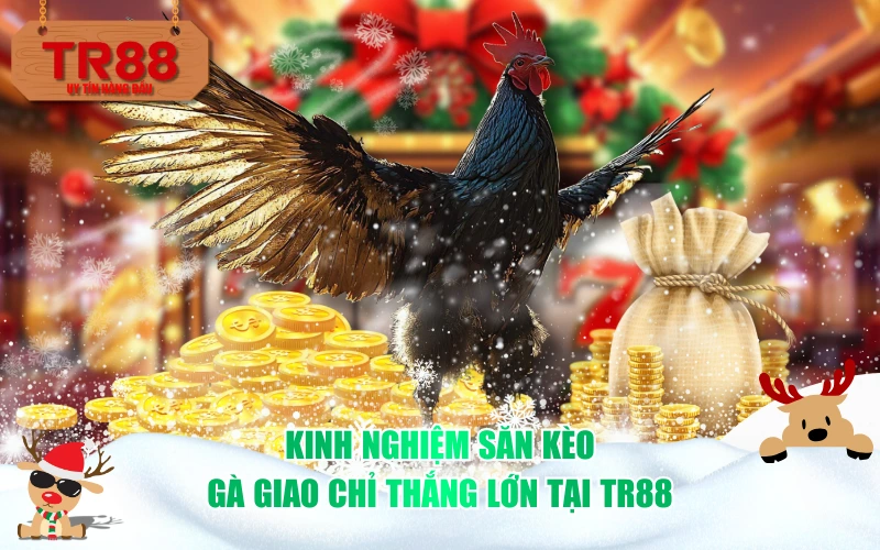 Kinh nghiệm săn kèo gà giao chỉ thắng lớn tại TR88