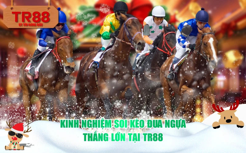 Kinh nghiệm soi kèo đua ngựa thắng lớn tại TR88