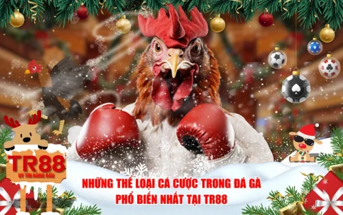 Những Thể Loại Cá Cược Trong Đá Gà Phổ Biến Nhất Tại TR88