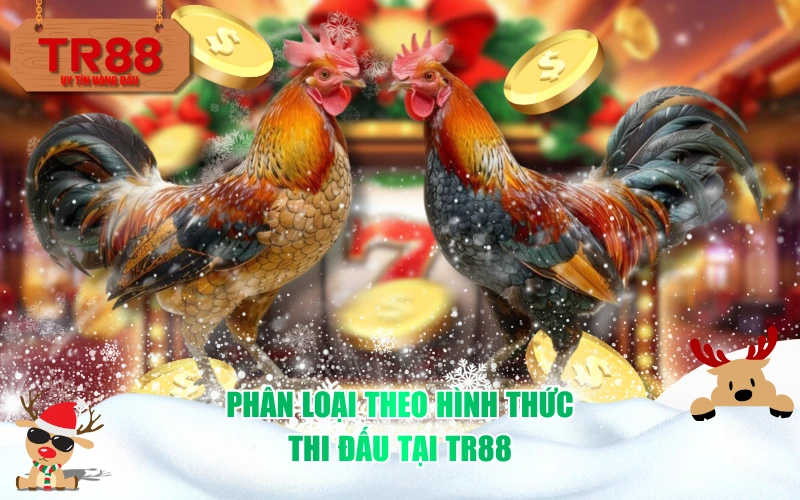 Phân loại theo hình thức thi đấu tại TR88