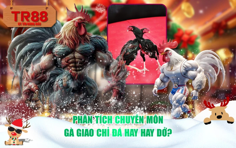 Phân tích chuyên môn: Gà giao chỉ đá Hay hay Dở?