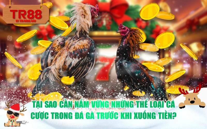 Tại sao cần nắm vững những thể loại cá cược trong đá gà trước khi xuống tiền?