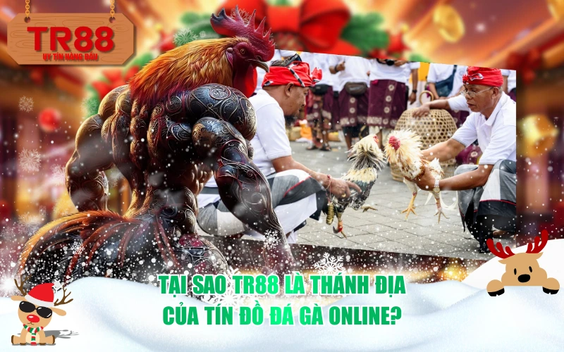 Tại sao TR88 là thánh địa của tín đồ đá gà online?