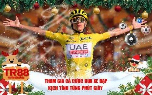 Tham Gia Cá Cược Đua Xe Đạp - Kịch Tính Từng Phút Giây