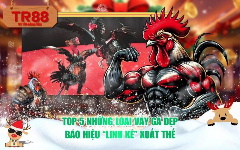 Top 5 những loại vảy gà đẹp báo hiệu "linh kê" xuất thế